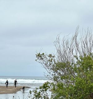 Trestles Beach Surfing